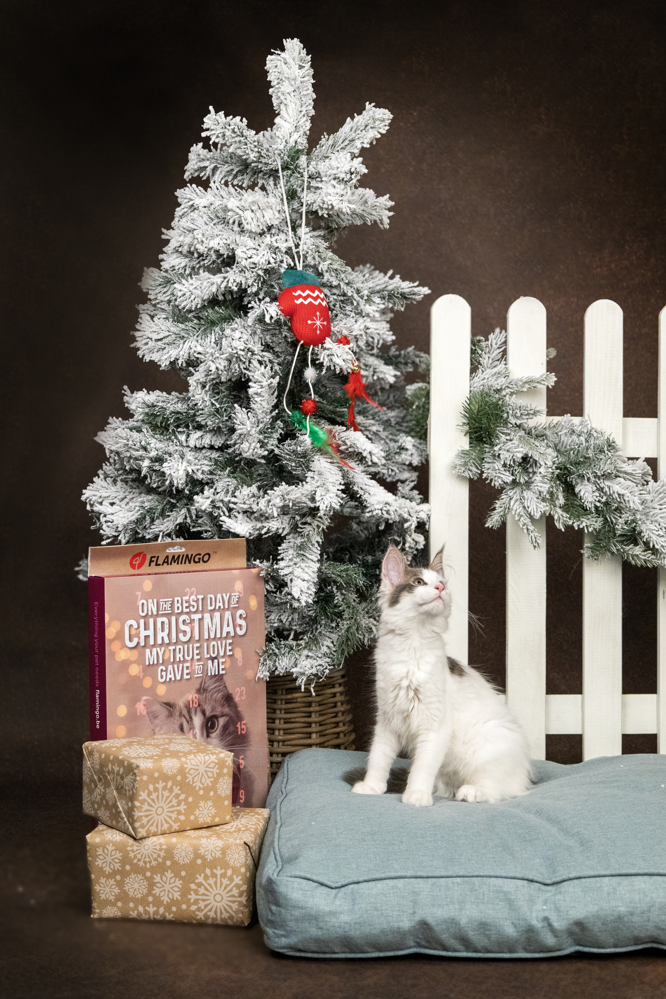 Flamingo Christmas Snacks   