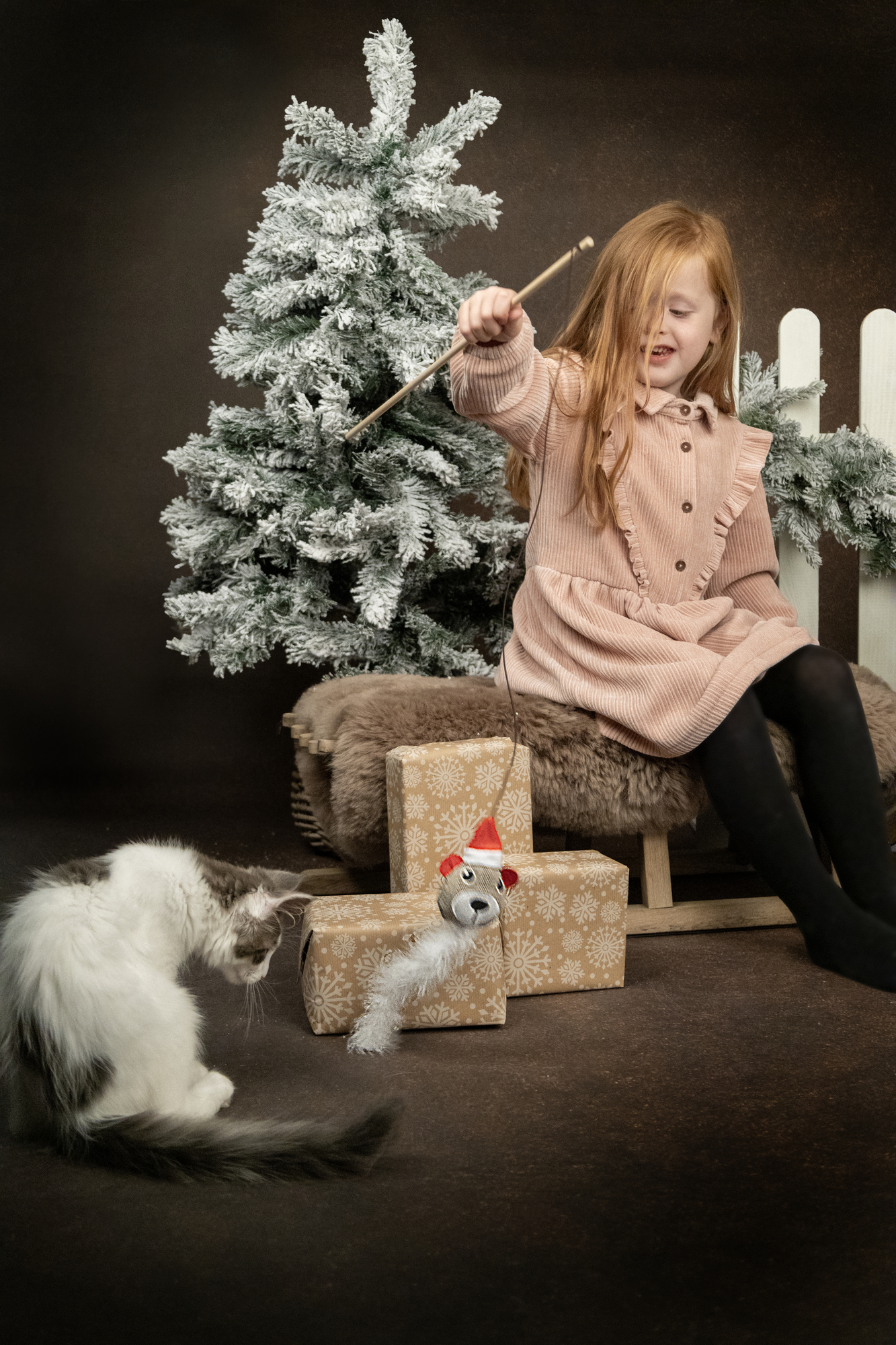 Flamingo Christmas Toy Drida Several versions 