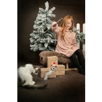 Flamingo Christmas Toy Drida Several versions 