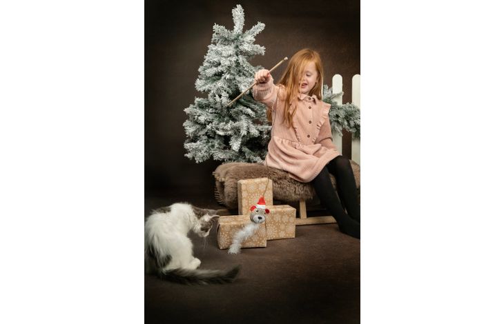 Flamingo Christmas Toy Drida Several versions 