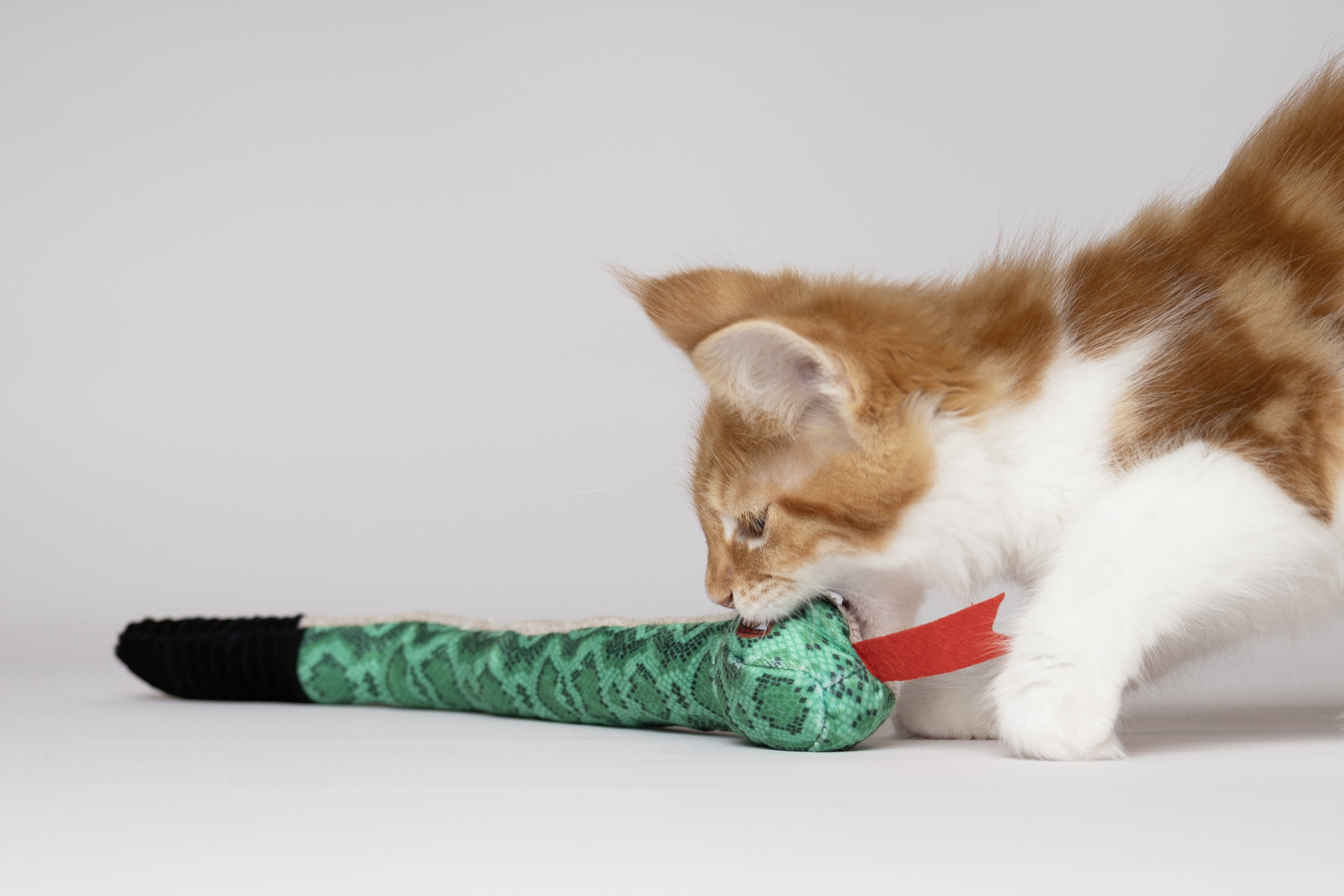 Flamingo Toy Sisso Snake Multiple colours