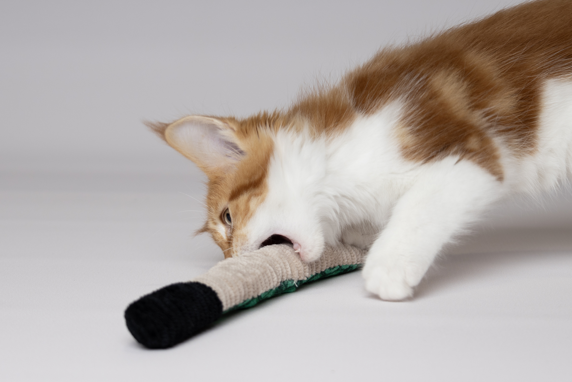 Flamingo Toy Sisso Snake Multiple colours