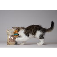 Flamingo Snack Hapki Sushi strips met kip & vis 