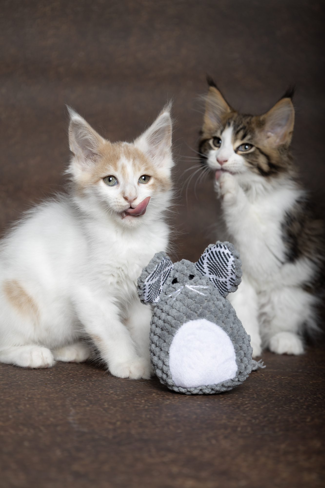 Flamingo Toy Mazzo Mouse Grey