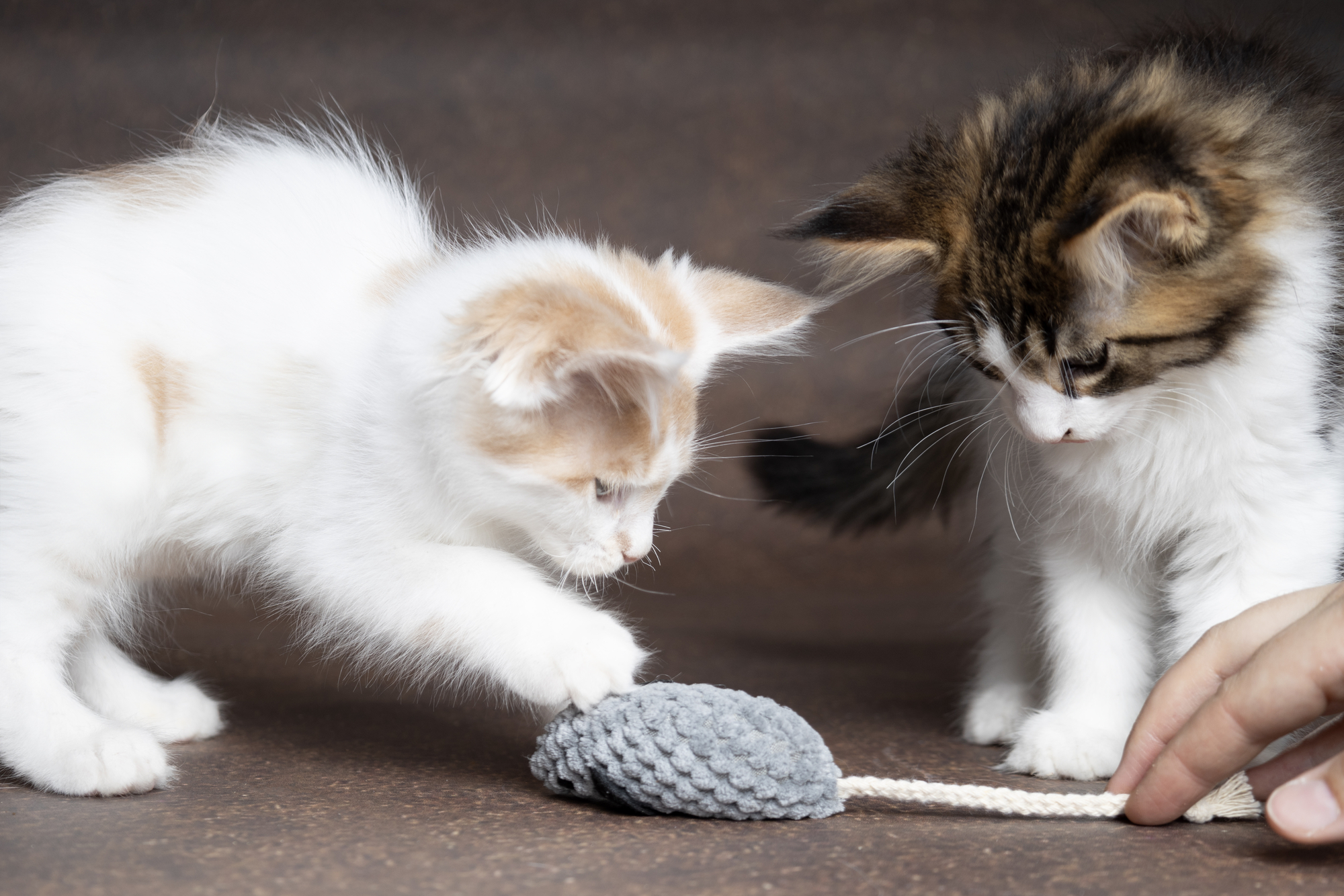 Flamingo Toy Mozza Mouse Mix