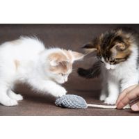 Flamingo Toy Mozza Mouse Mix