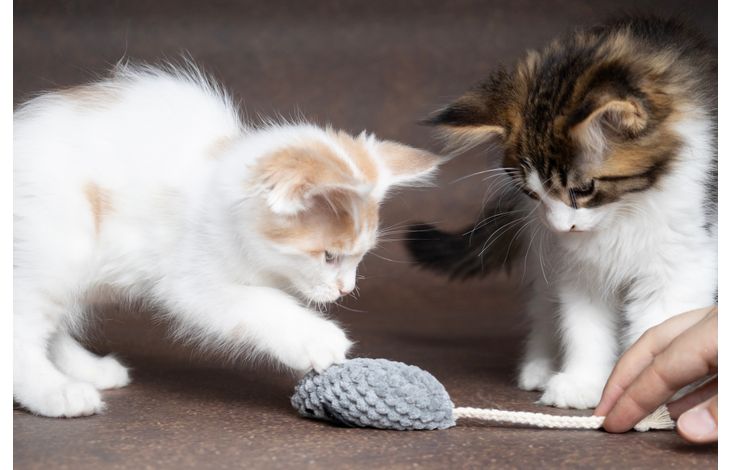 Flamingo Toy Mozza Mouse Mix