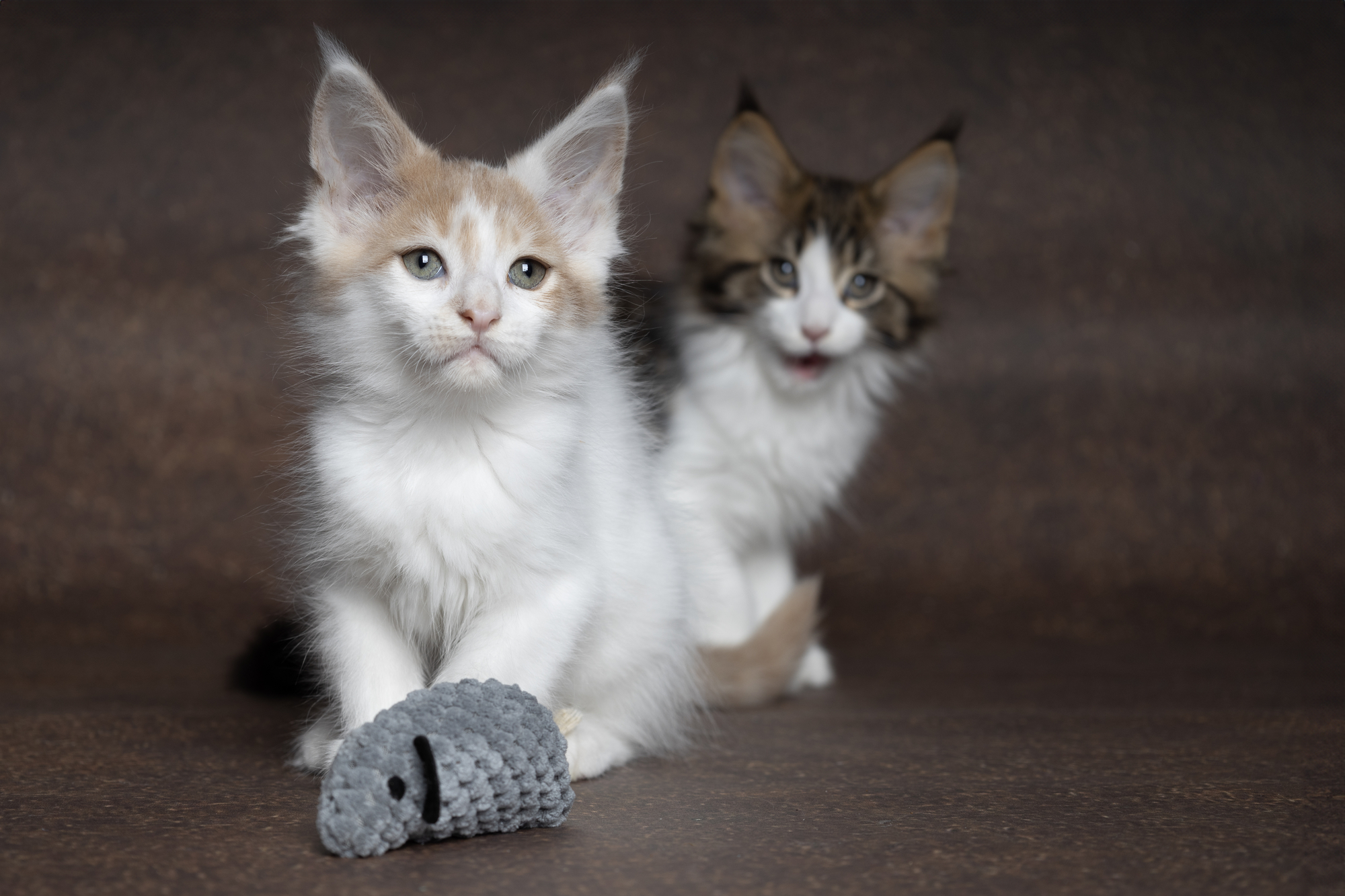 Flamingo Toy Mozza Mouse Mix