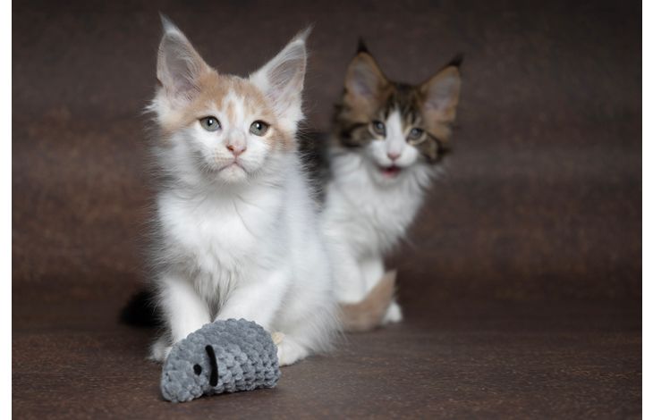 Flamingo Toy Mozza Mouse Mix