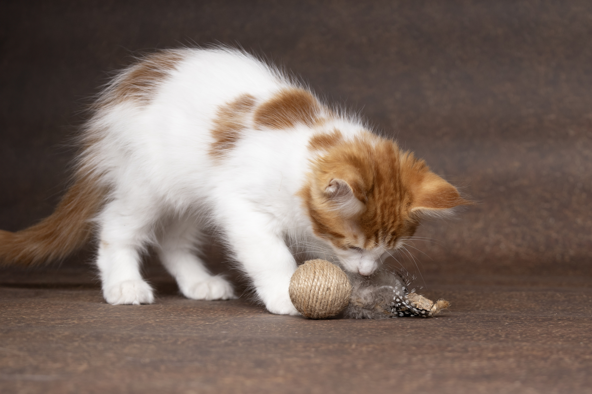 Flamingo Toy Yutsa Ball & Fish Brown