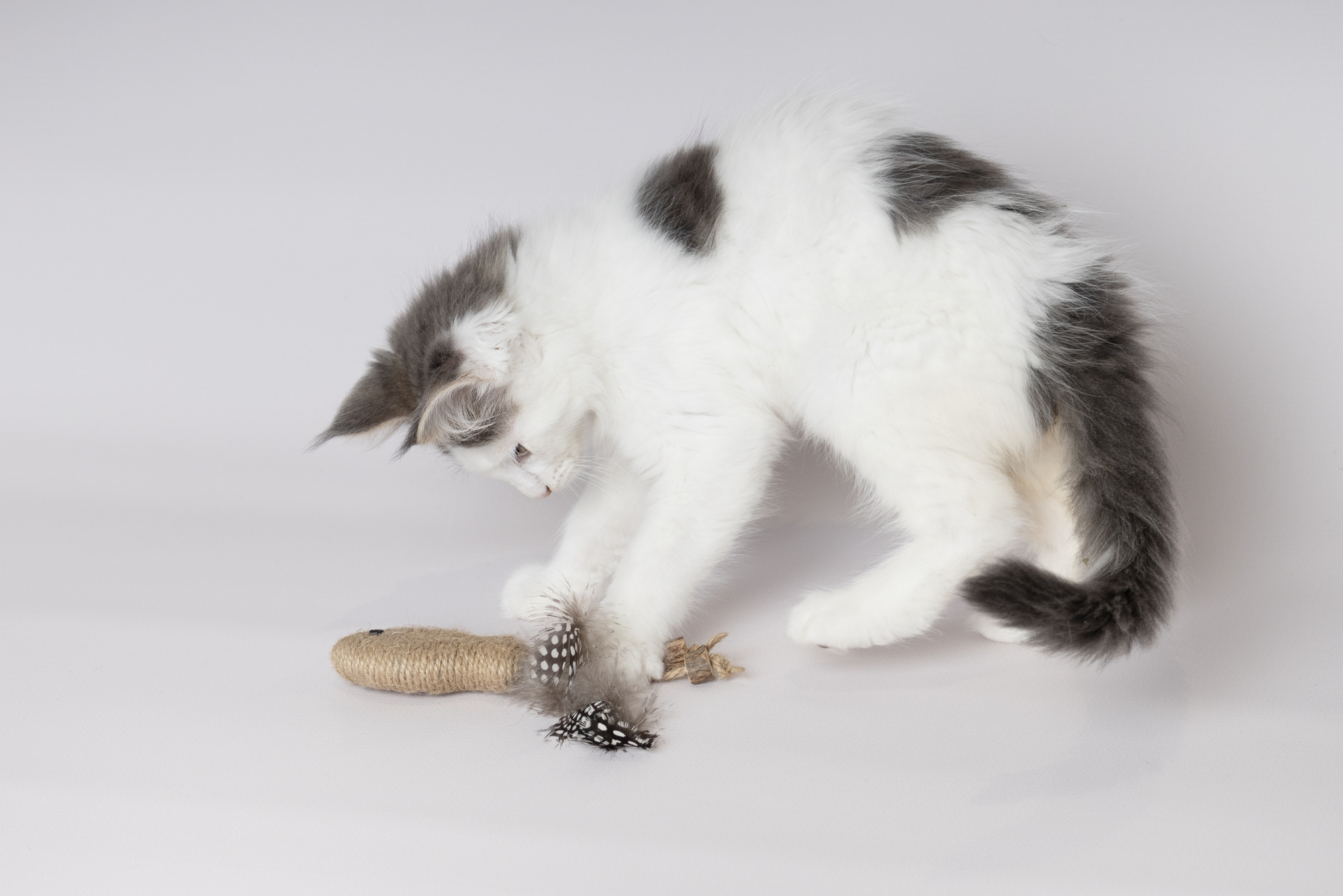 Flamingo Toy Yutsa Ball & Fish Brown