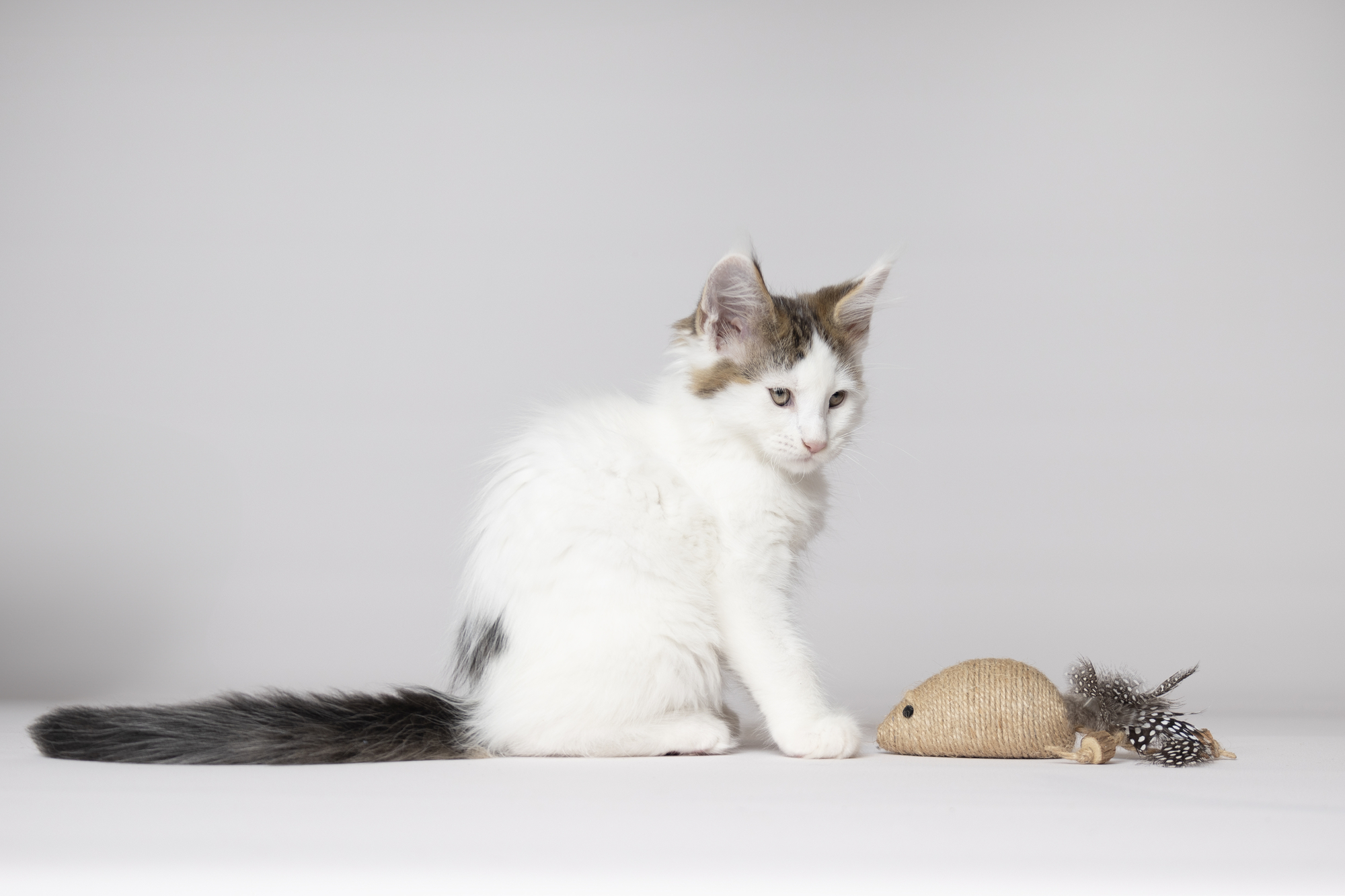 Flamingo Toy Yutsa Mouse Brown