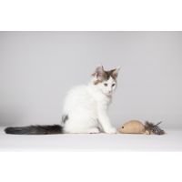 Flamingo Toy Yutsa Mouse Brown