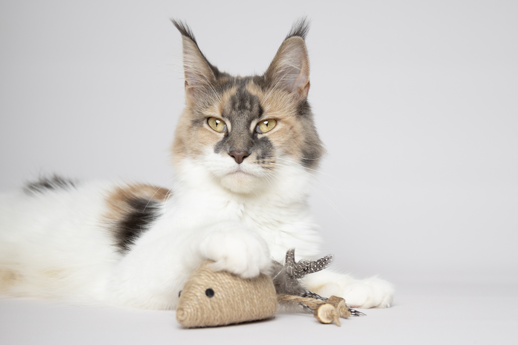 Flamingo Toy Yutsa Mouse Brown