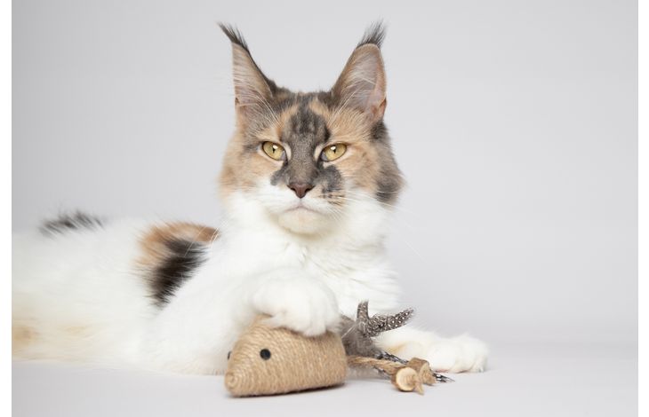 Flamingo Toy Yutsa Mouse Brown