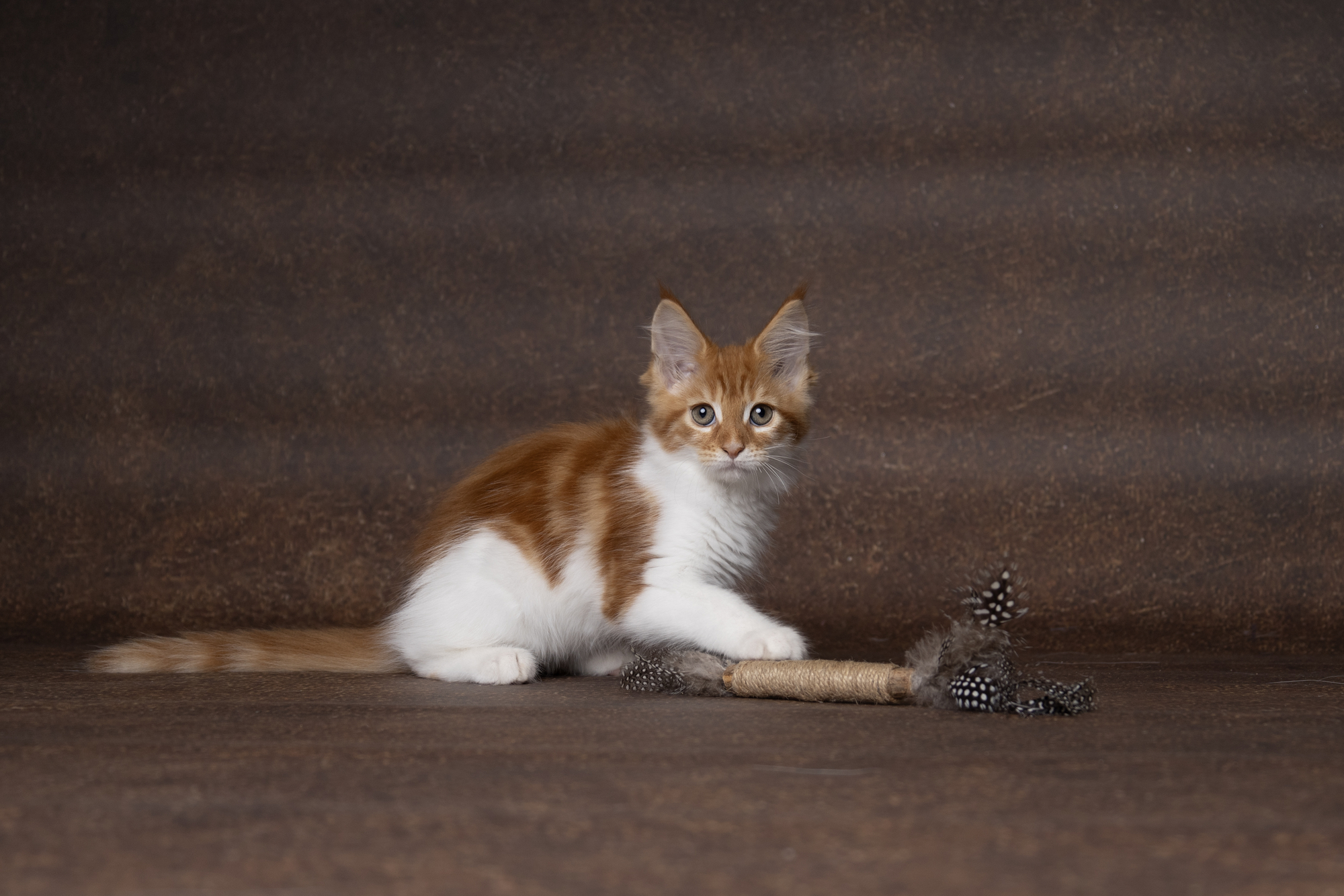 Flamingo Toy Yutsa Stick Brown