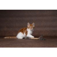 Flamingo Toy Yutsa Stick Brown