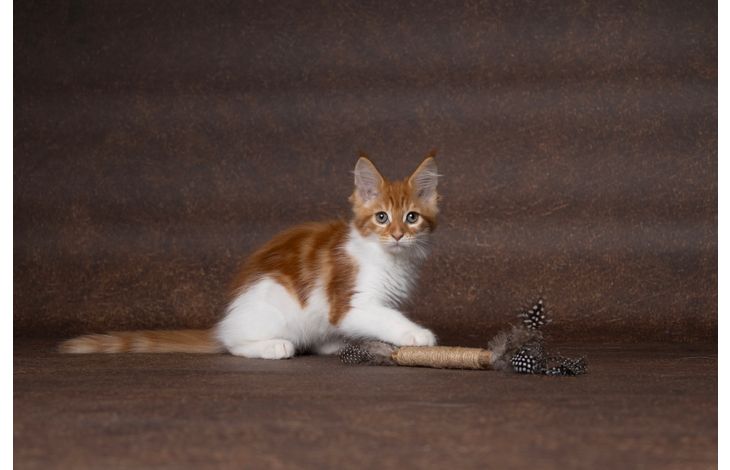 Flamingo Toy Yutsa Stick Brown