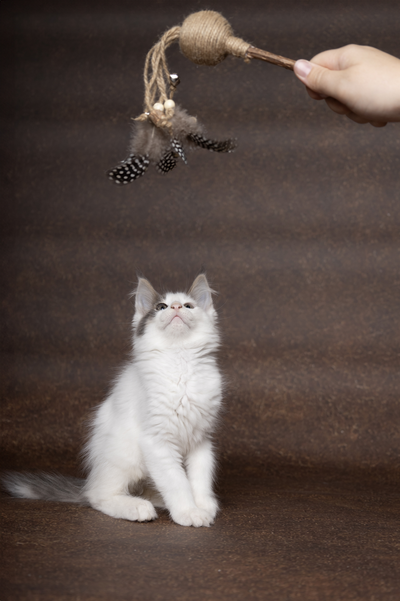 Flamingo Toy Yutsa Stick Brown