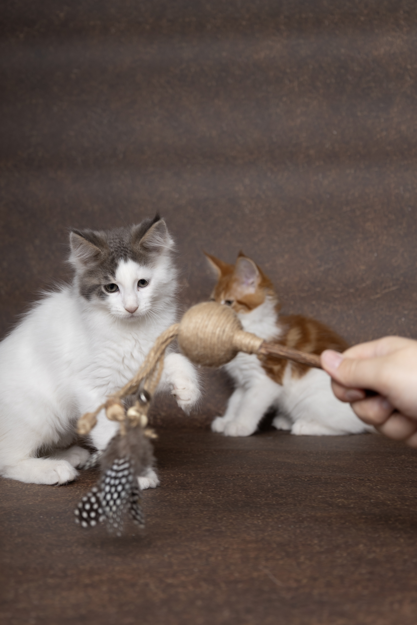 Flamingo Toy Yutsa Stick Brown