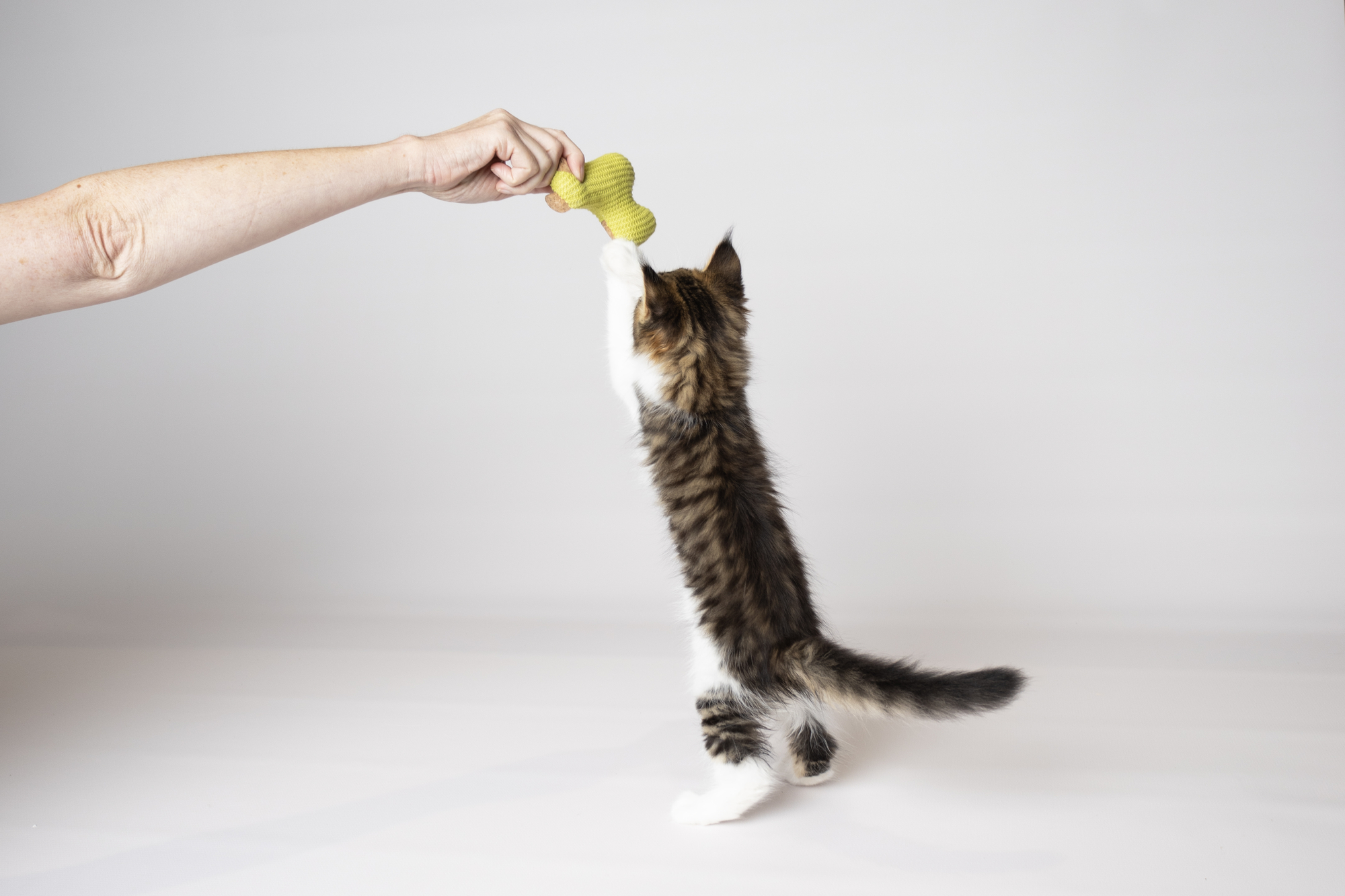 Flamingo Jouet Lemmo Lama Vert