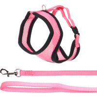 Flamingo Harnais avec laisse Harms Rose