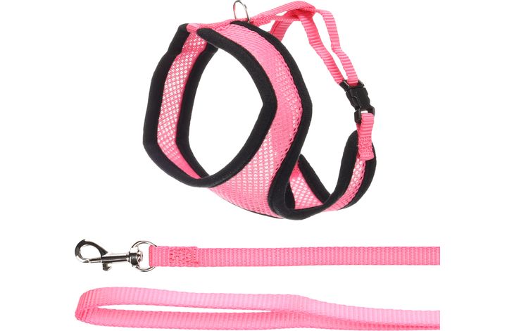 Flamingo Harnais avec laisse Harms Rose