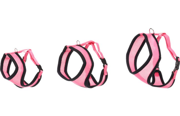 Flamingo Harnais avec laisse Harms Rose