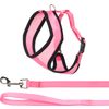 Harness with leash Harms Pink