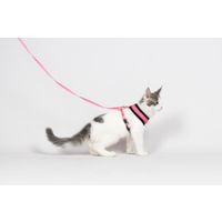 Flamingo Harness with leash Harms Pink
