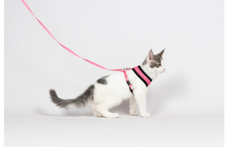 Flamingo Harness with leash Harms Pink