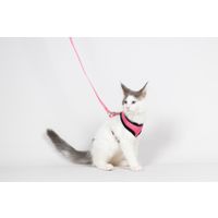 Flamingo Harness with leash Harms Pink