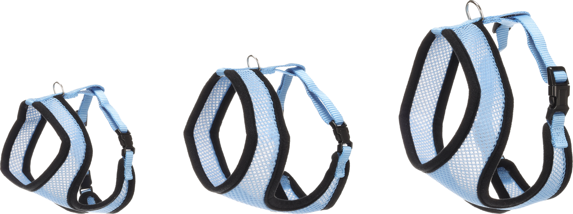 Flamingo Geschirr mit Leine Harms Blau