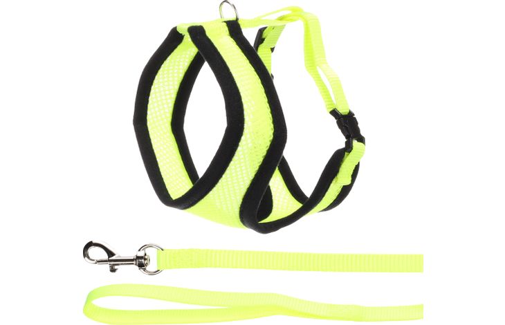 Flamingo Harnais avec laisse Harms Jaune