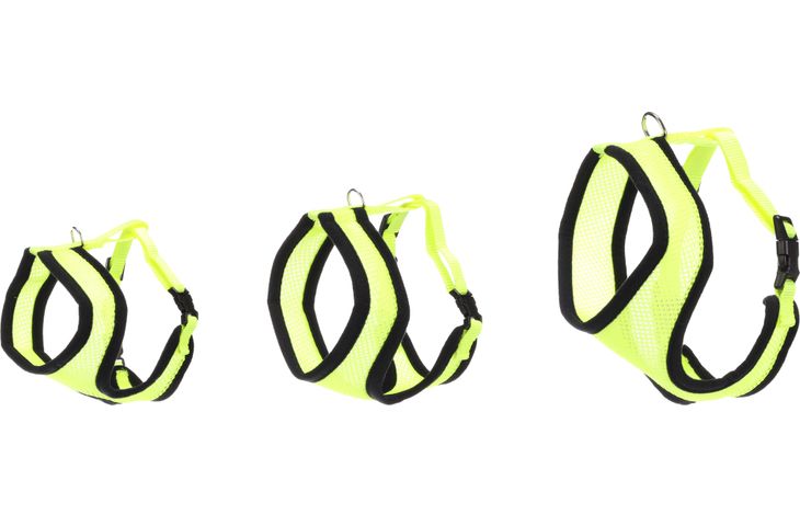 Flamingo Harnais avec laisse Harms Jaune