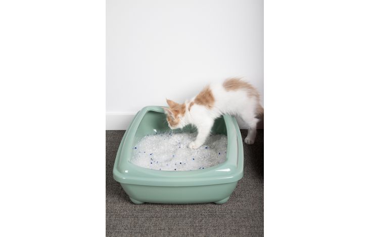 Flamingo Kattenbak Palma Exoti meerdere kleuren