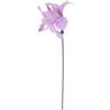 Toy Boefie Dangler with ball Multiple colours Dangler with ball Purple
