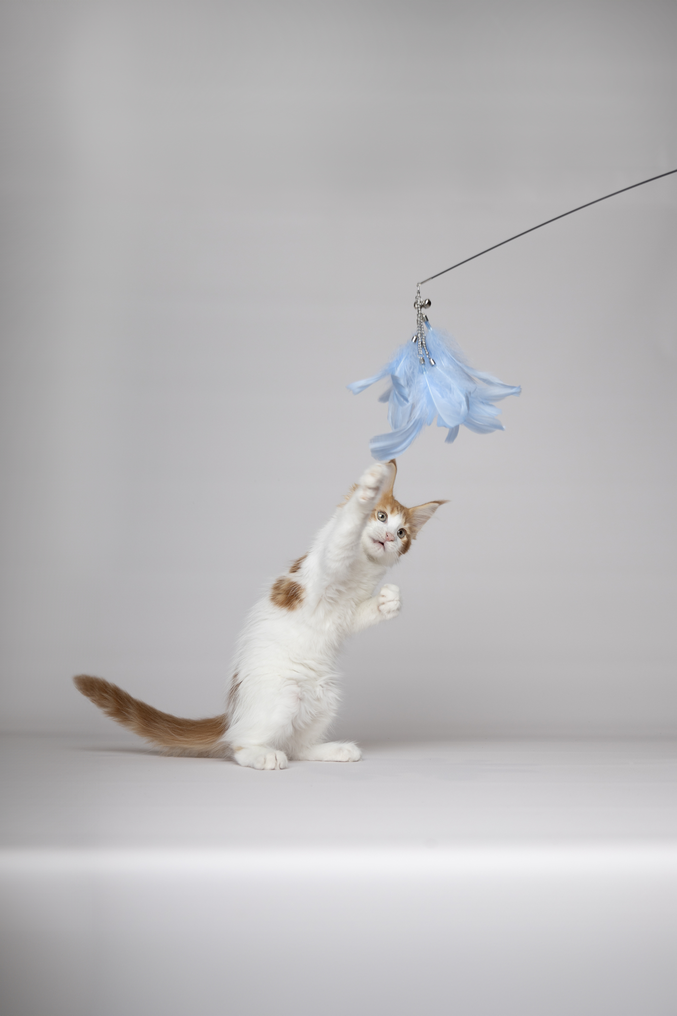 Flamingo Toy Nimmy Dangler Multiple colours