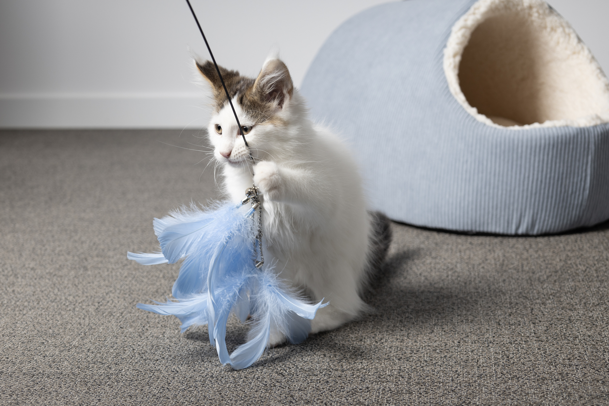 Flamingo Toy Nimmy Dangler Multiple colours