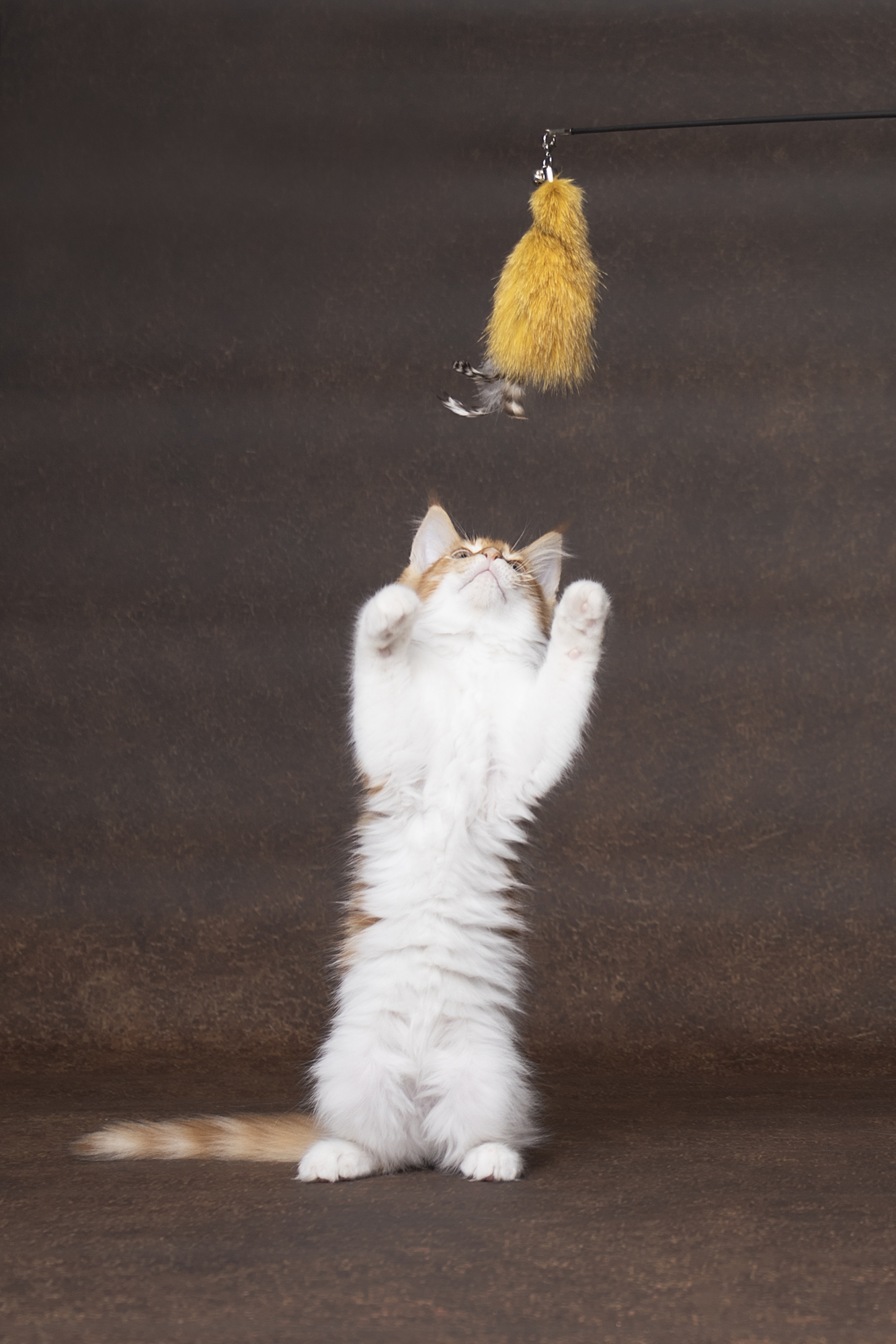 Flamingo Toy Mijs Brush for dangler Multiple colours