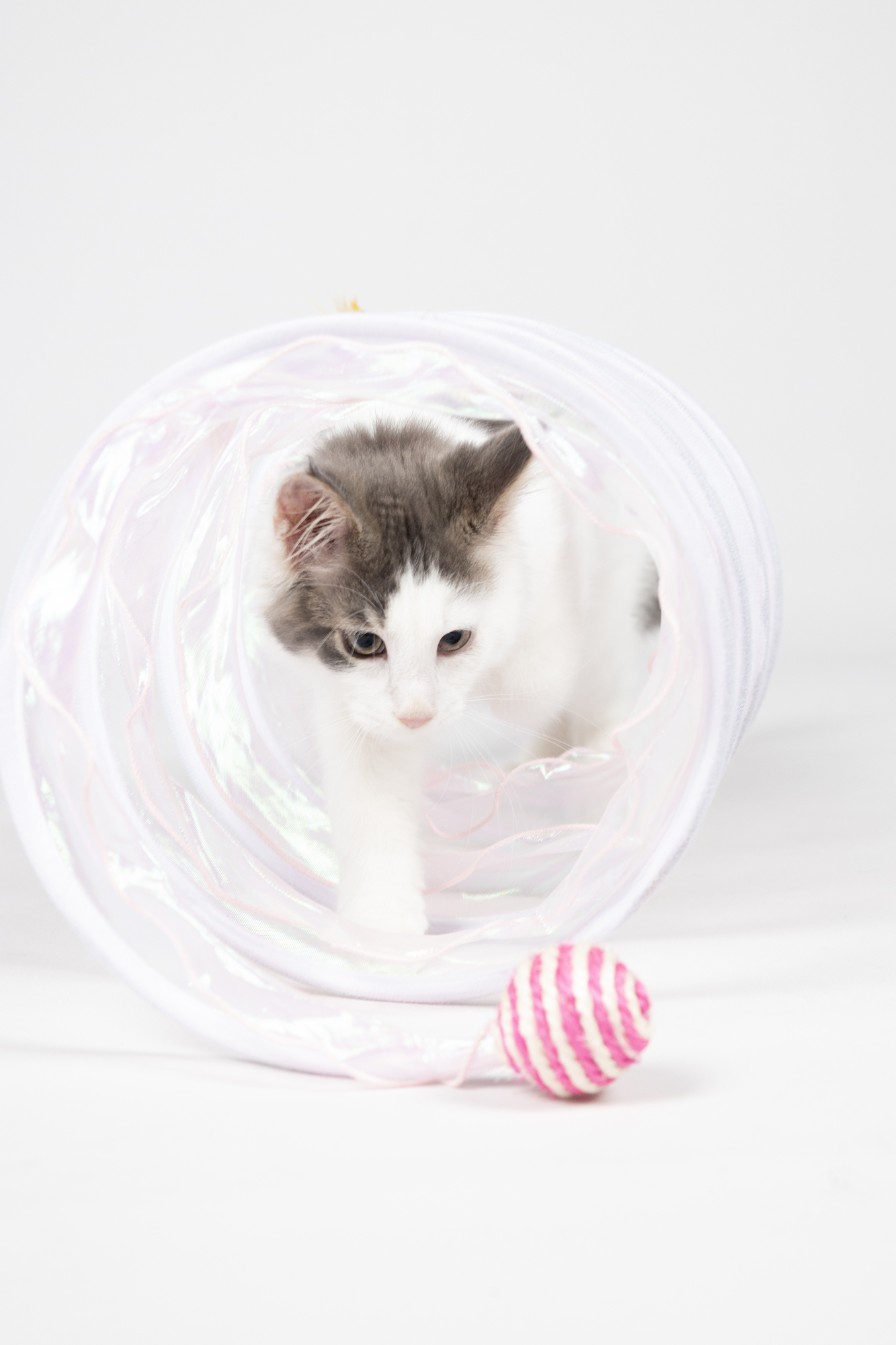 Flamingo Toy Kennedy Tunnel with ball Pink