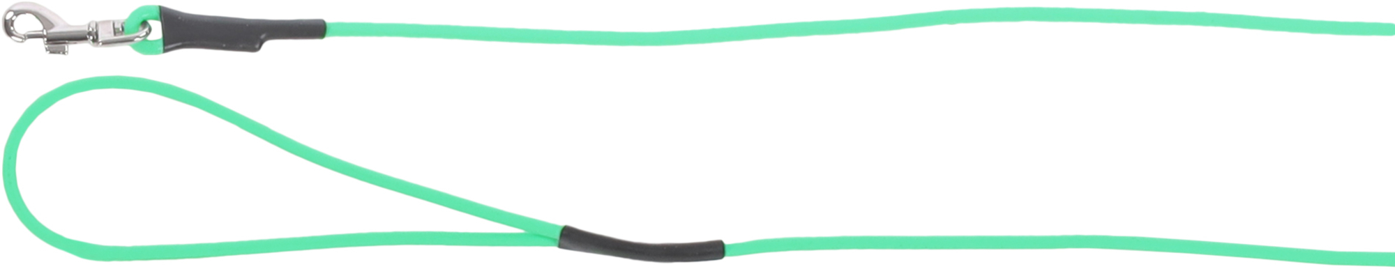 Flamingo Training and tracking leash Caspar Mint green