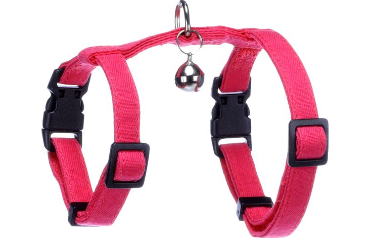 Flamingo Harnas met looplijn voor kittens Lomi Fuchsia