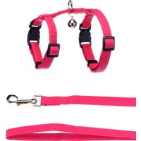 Flamingo Harnas met looplijn voor kittens Lomi Fuchsia