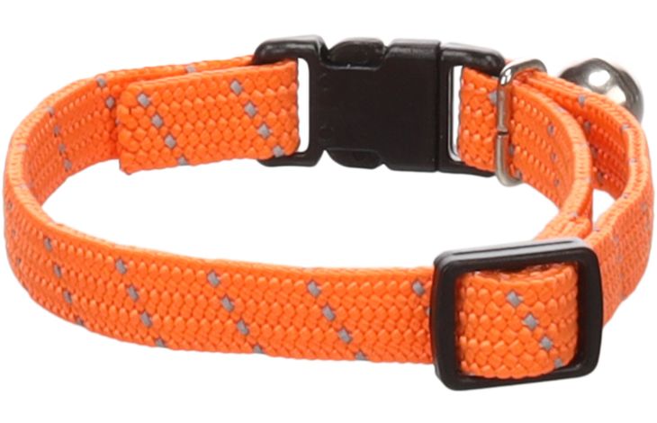 Flamingo Halsband voor kittens Elza Oranje