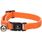 Halsband voor kittens Elza Oranje