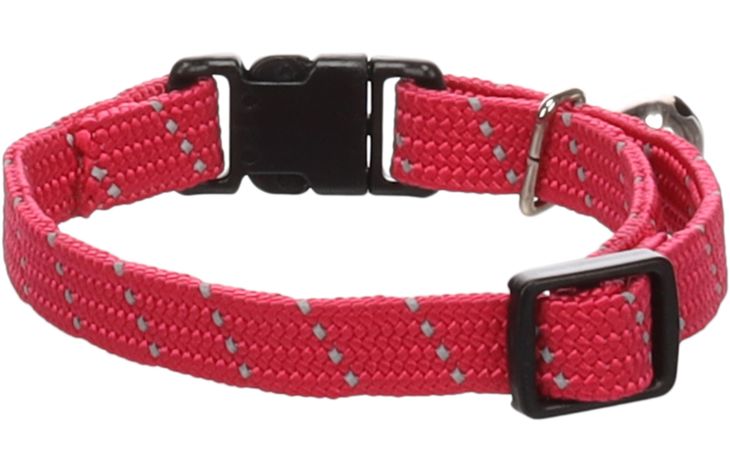Flamingo Collar Kitten Elza Coral red