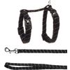 Harness with leash Kitten Elza Black