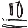 Harness with leash Elza Black