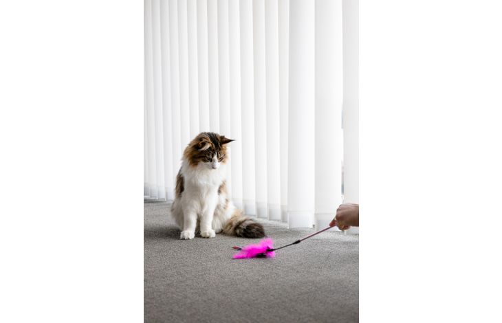 Flamingo Toy Glitsa Dangler Multiple colours